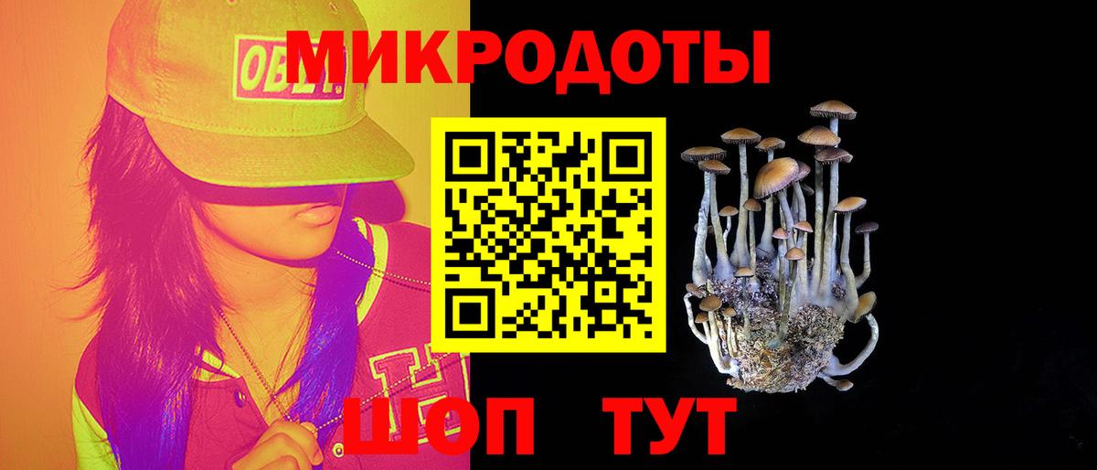 Смоленск  Галлюциногенные грибы Psilocybe  купить   Вход с VPN 